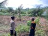 IMG-20260512-WA0010