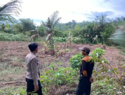 Polsek Awayan Polres Balangan Dukung Asta Cita Presiden Lewat Penanaman Jagung untuk Ketahanan Pangan