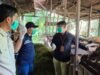 Petugas DKP3 Balangan memeriksa kesehatan hewan kurban di Desa Sumber Rejeki, Kecamatan Juai, menjelang Iduladha 1447 H. IMG-20260521-WA0018