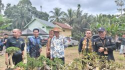 UMKM Halong Rasakan Dampak Positif Festival Mesiwah Pare Gumboh VIII
