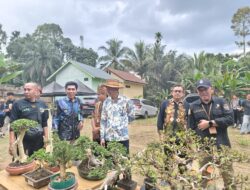 UMKM Halong Rasakan Dampak Positif Festival Mesiwah Pare Gumboh VIII